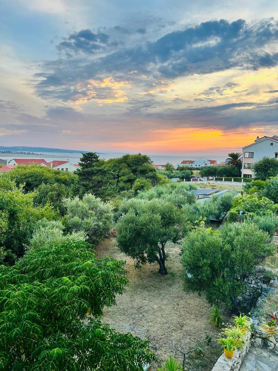 Garden, Sea view, Sunset