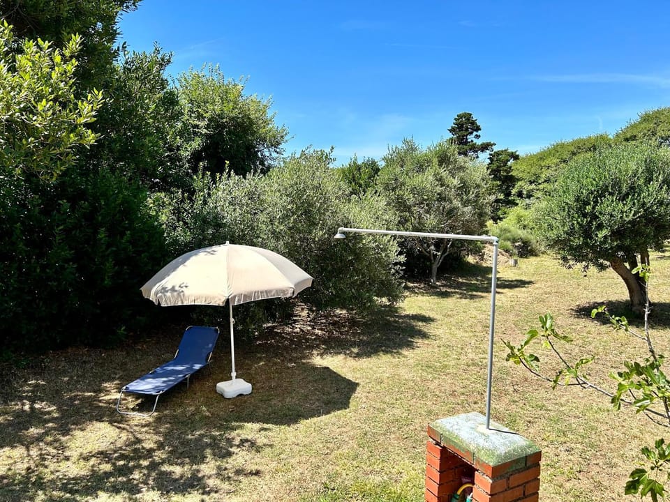 Garden, Garden view