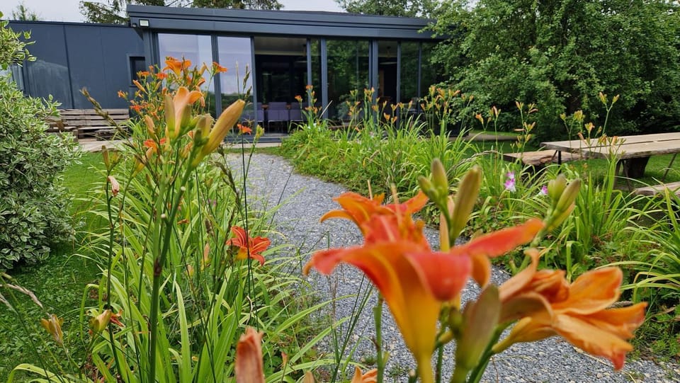Property building, Garden, Garden view