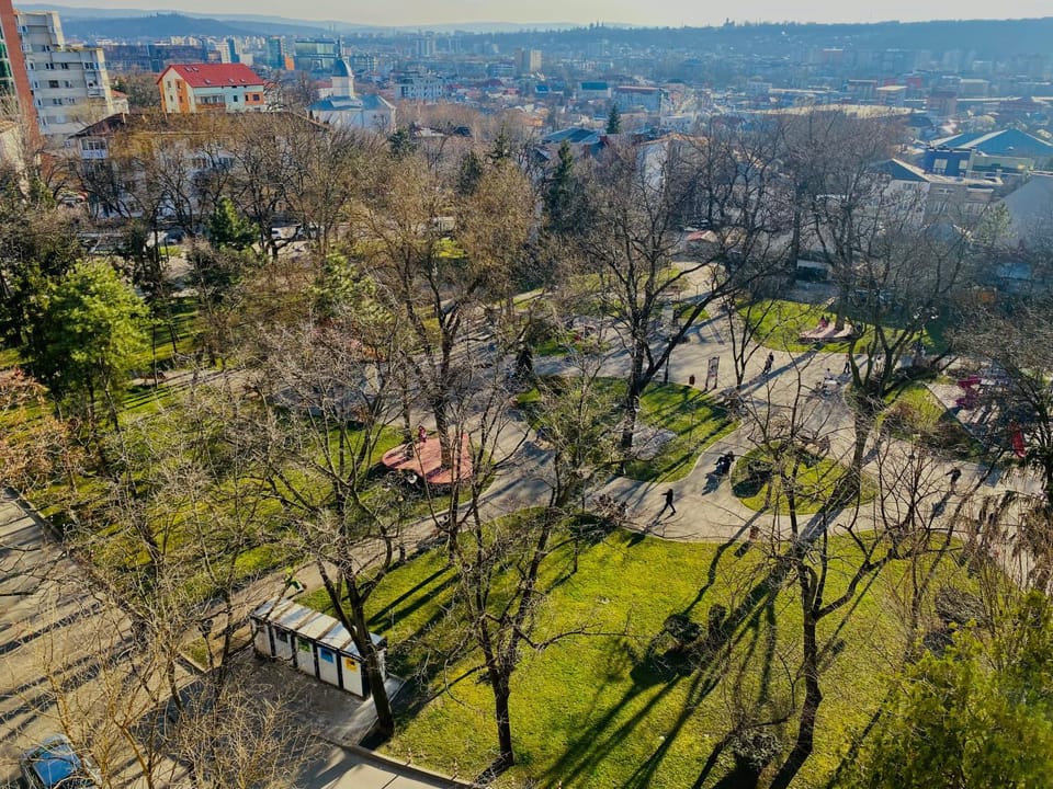 Spring, Day, Neighbourhood, Natural landscape, Bird's eye view, City view, Street view