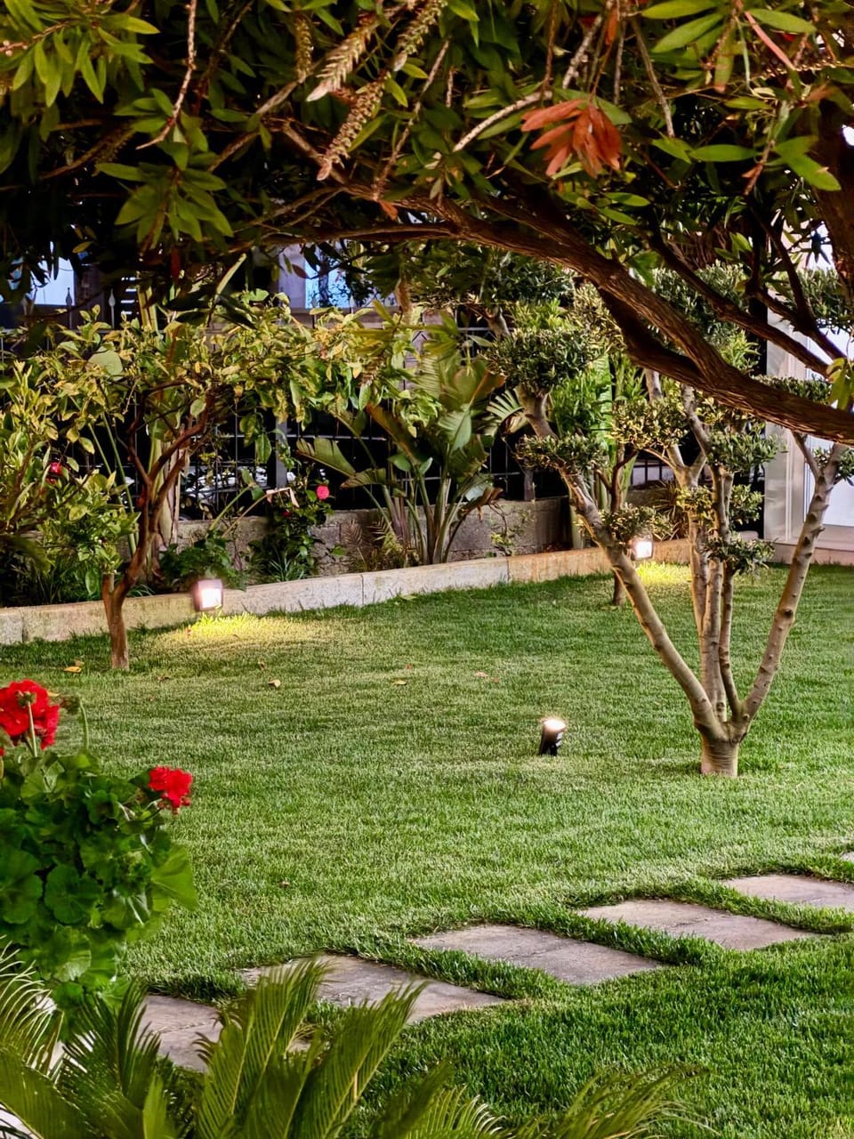 Natural landscape, Garden, Garden view