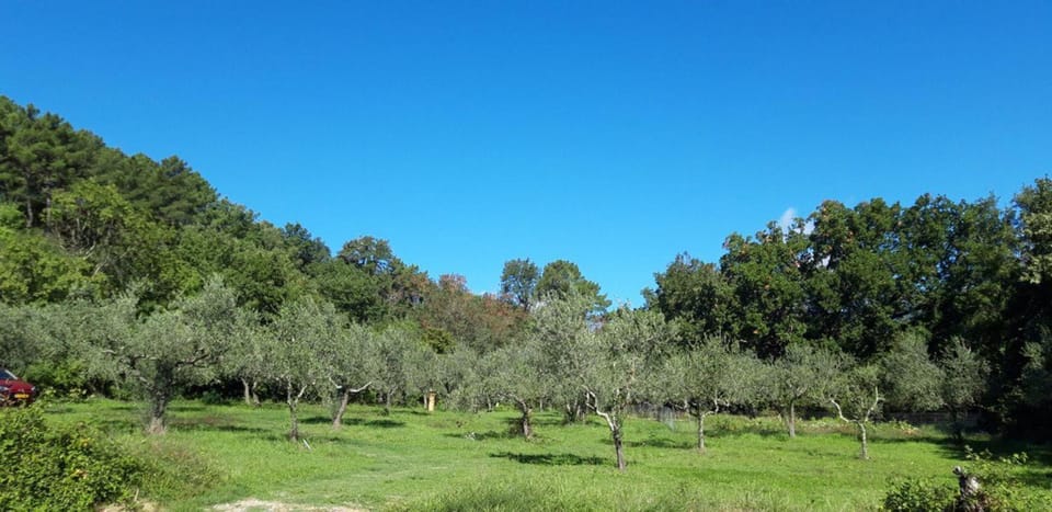 Agricampeggio Borgo Agna Luxury tent in Tuscany