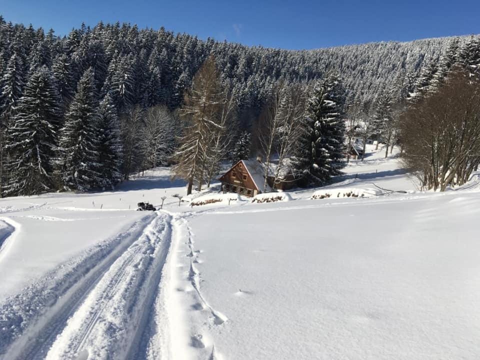 Natural landscape, Winter