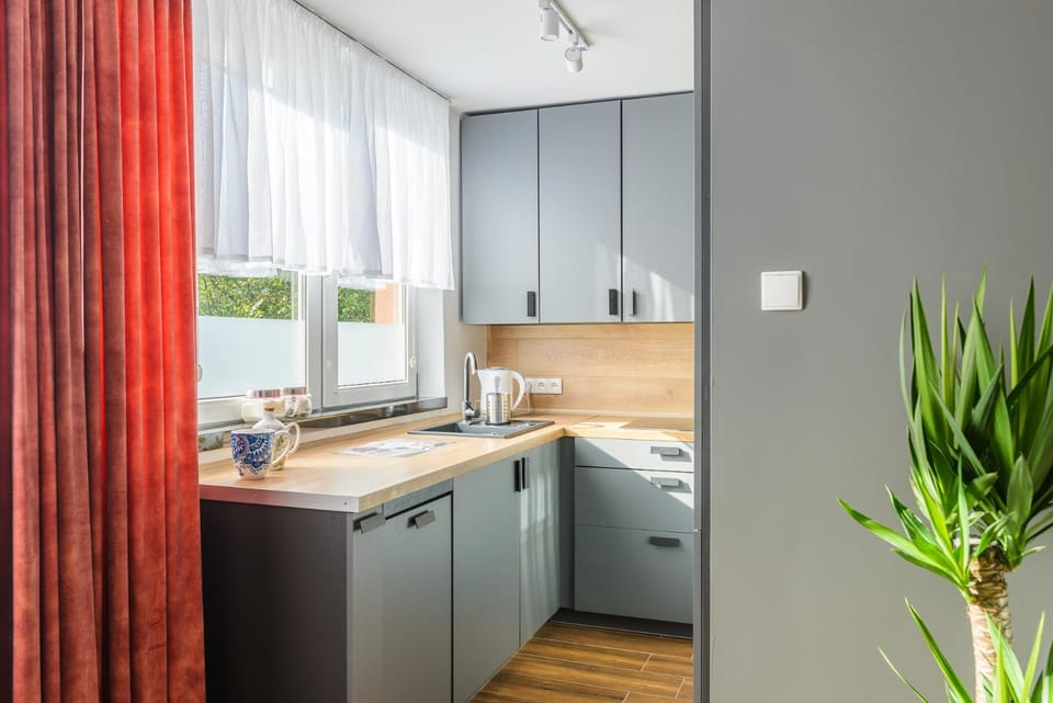 Kitchen or kitchenette, dishwasher, minibar, pet friendly, stove