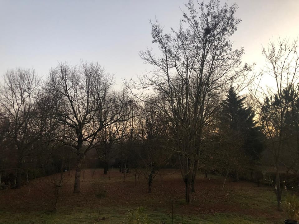 Les Dames Noires Vacation rental in Occitanie
