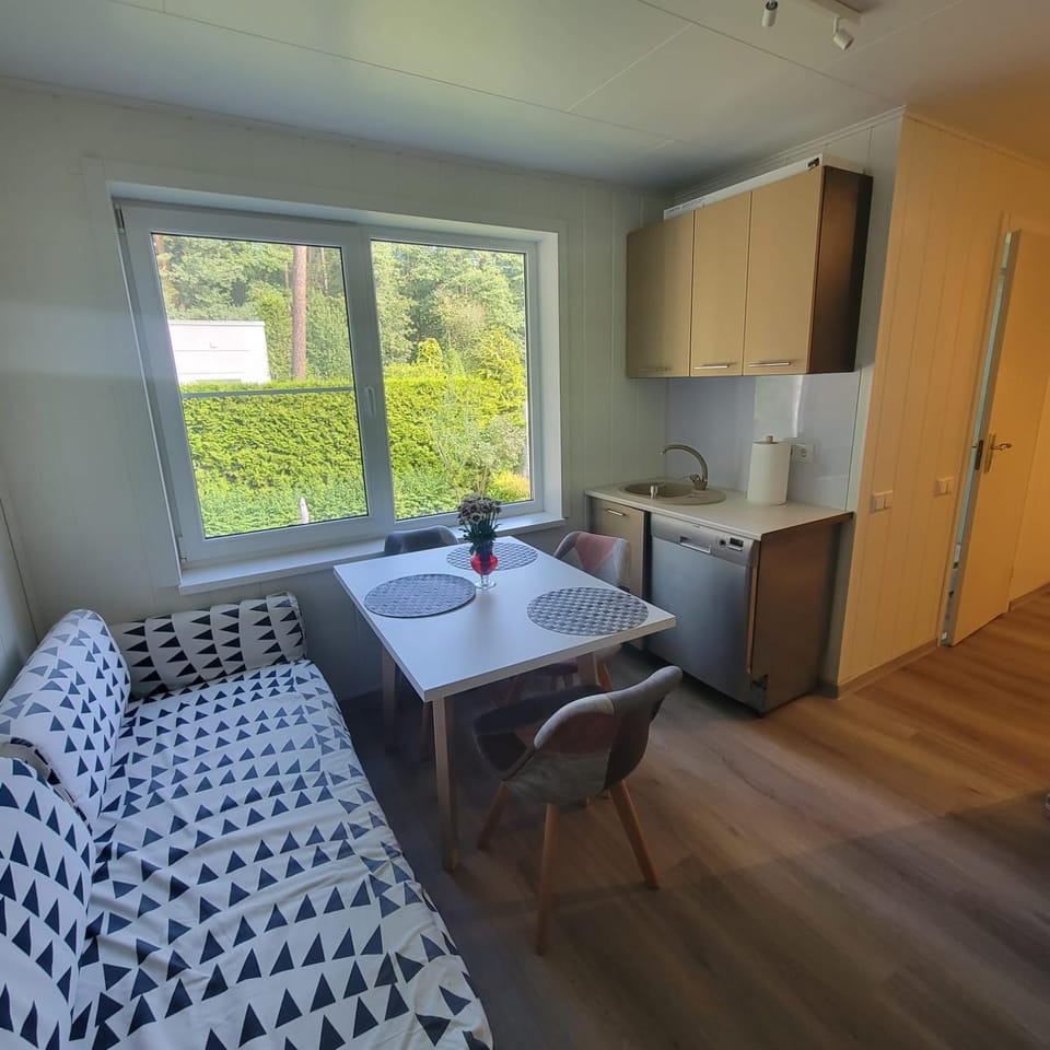Kitchen or kitchenette, Seating area, Dining area