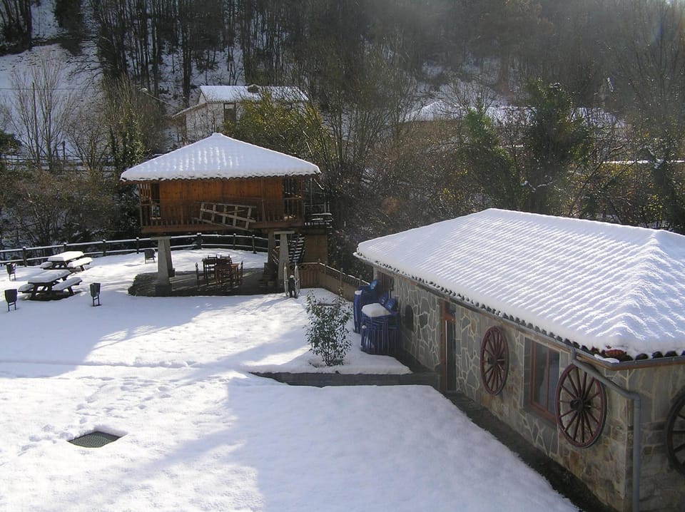 Winter, Area and facilities