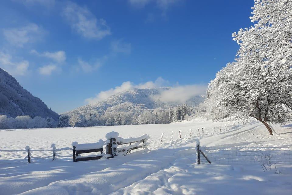 Bleierhof Apartment in Salzburgerland