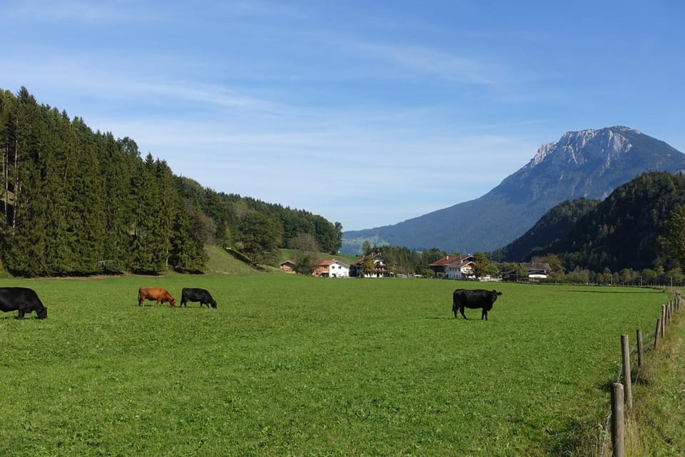 Bleierhof Apartment in Salzburgerland