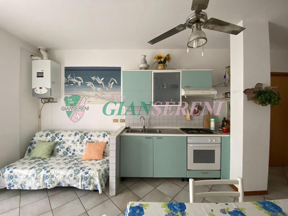Kitchen or kitchenette, fireplace, pet friendly, stove