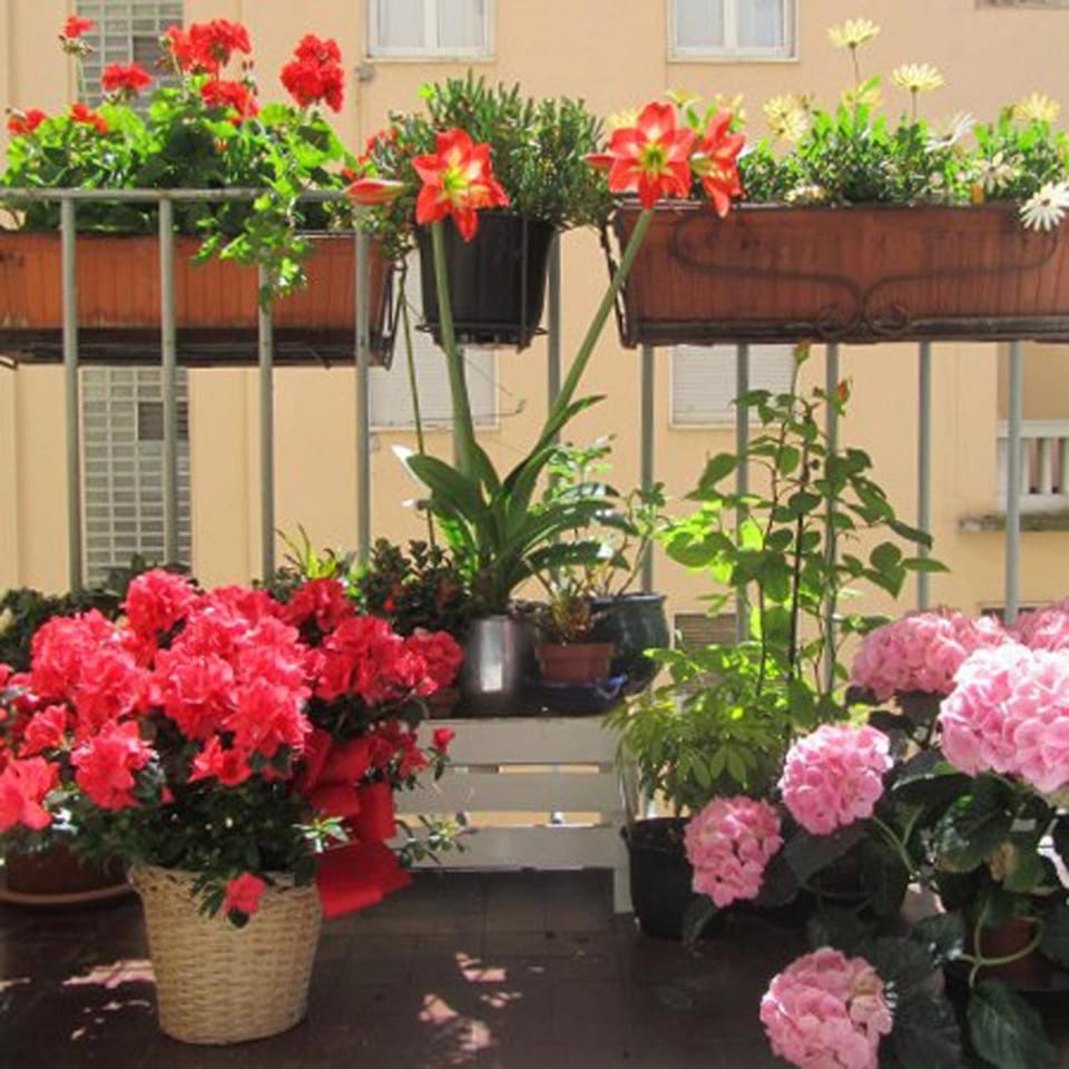 Spring