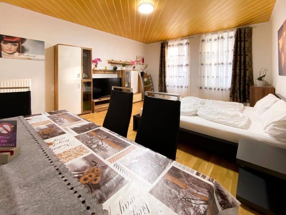 Bed, TV and multimedia, Living room, Photo of the whole room, Bedroom