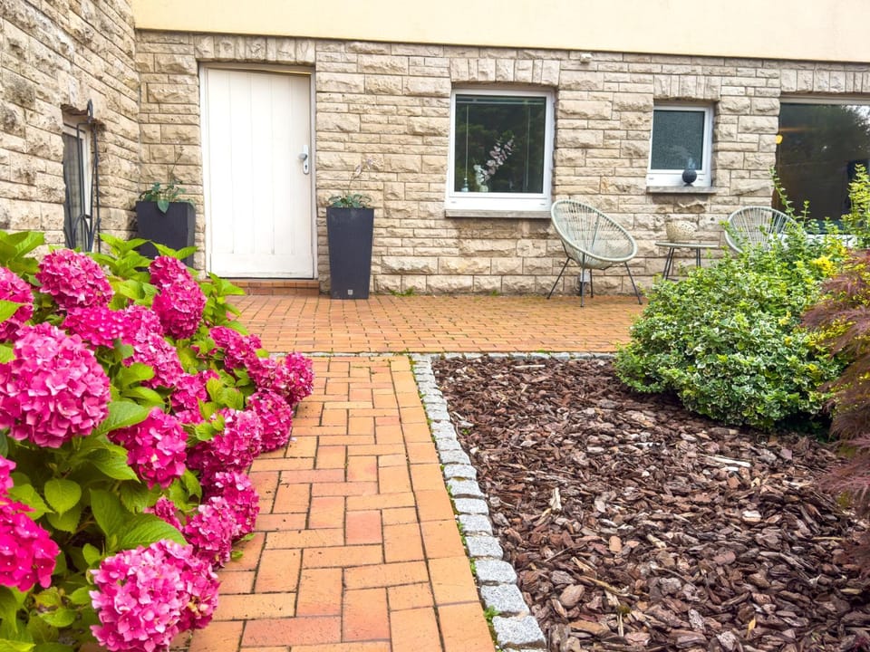 Property building, Day, Garden