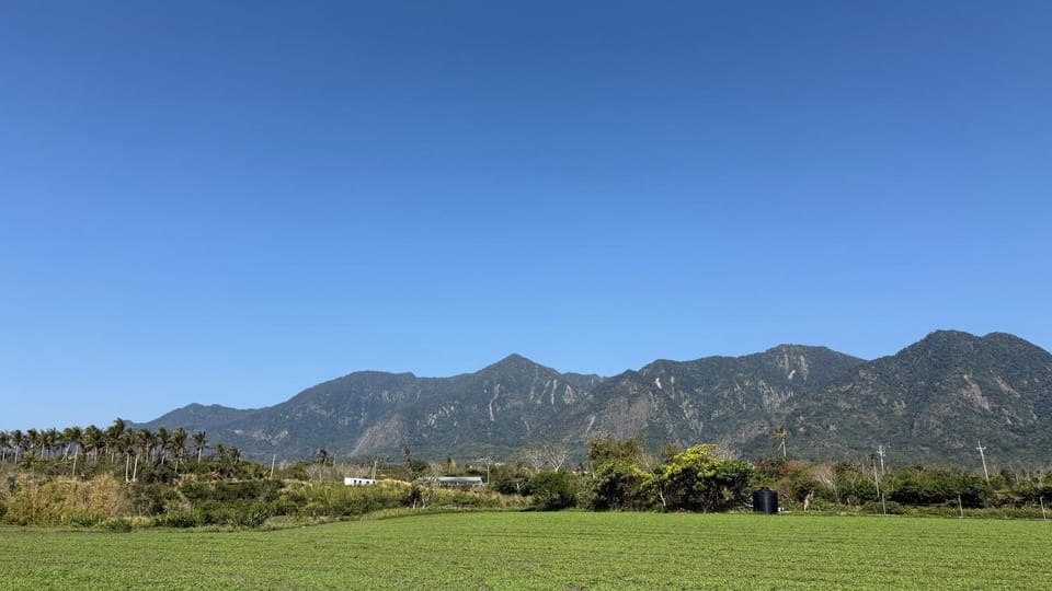 La Tree 普椿農場木子莊園 民宿編號1437號 Vacation rental in Taiwan, Province of China