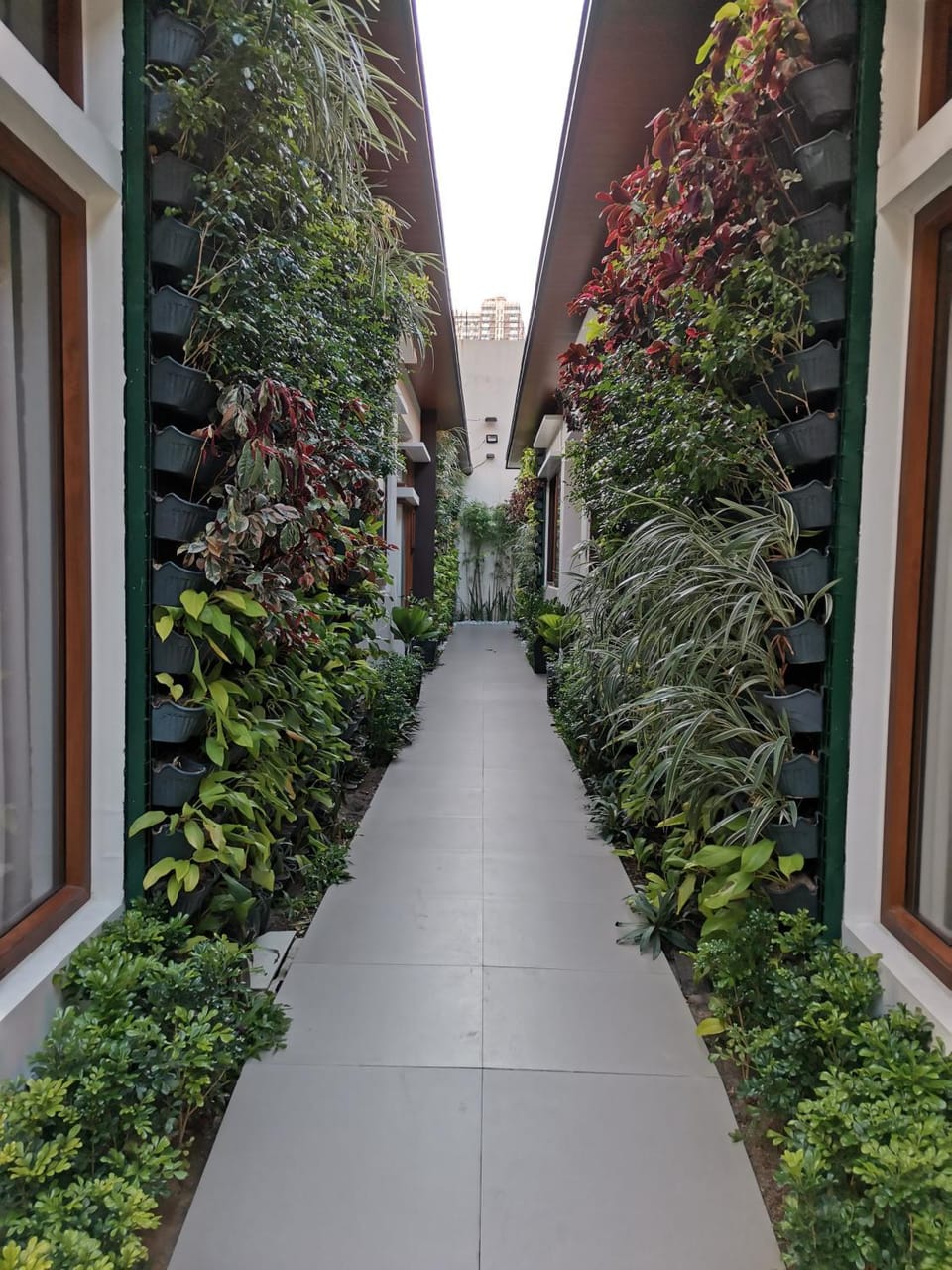 Garden, Garden view