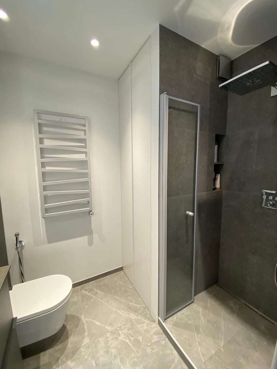 Shower, Toilet