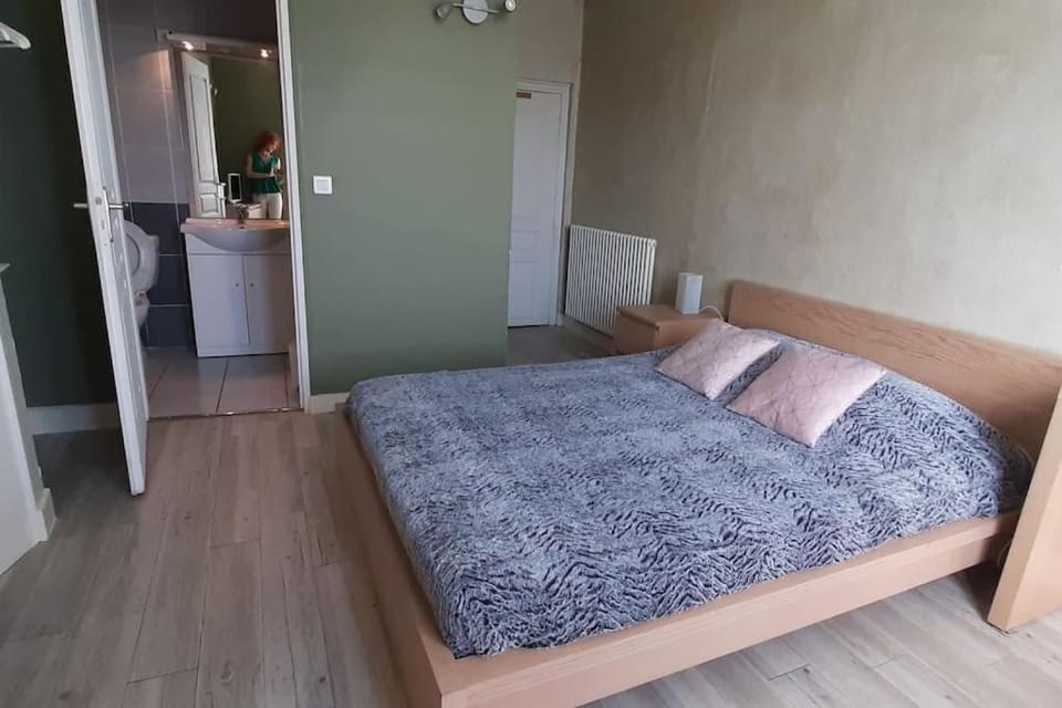 Shower, Toilet, Bed, Bathroom, Photo of the whole room, Bedroom, towels