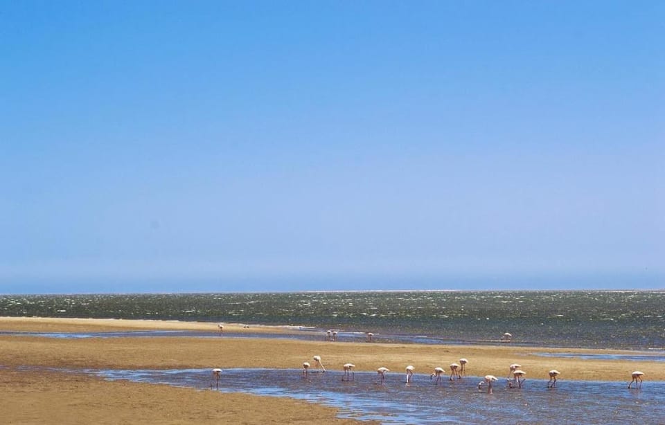 Day, Natural landscape, View (from property/room), Beach, Sea view