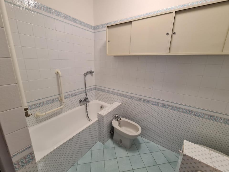 Shower, Toilet, Bathroom, Bath