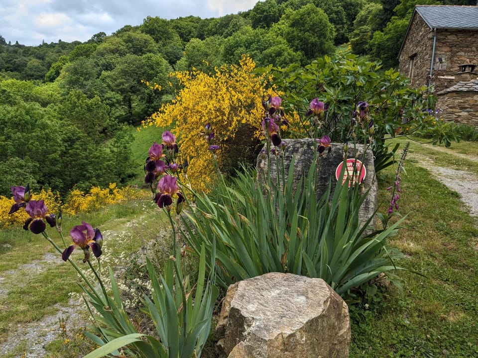Natural landscape