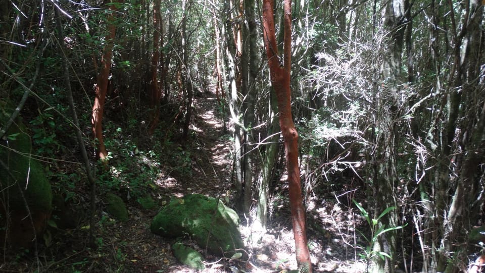 Natural landscape