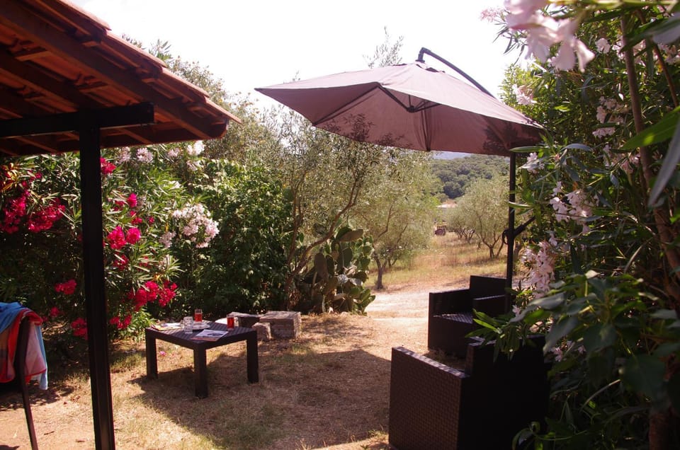 Patio, Garden, Garden view
