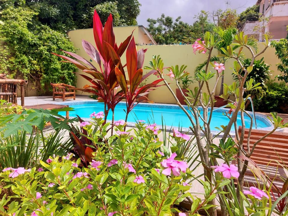 Garden view, Swimming pool