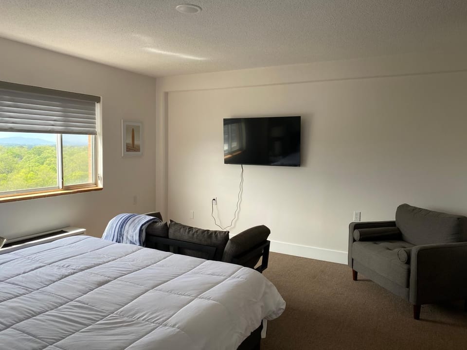 Bed, TV and multimedia, Seating area