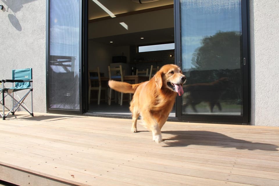 Balcony/Terrace, Pets