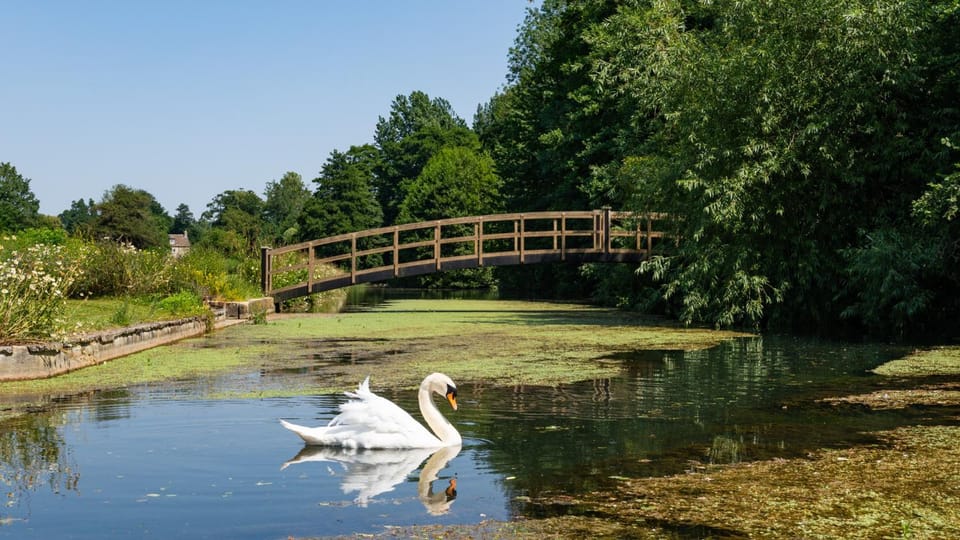 Garden, Lake view