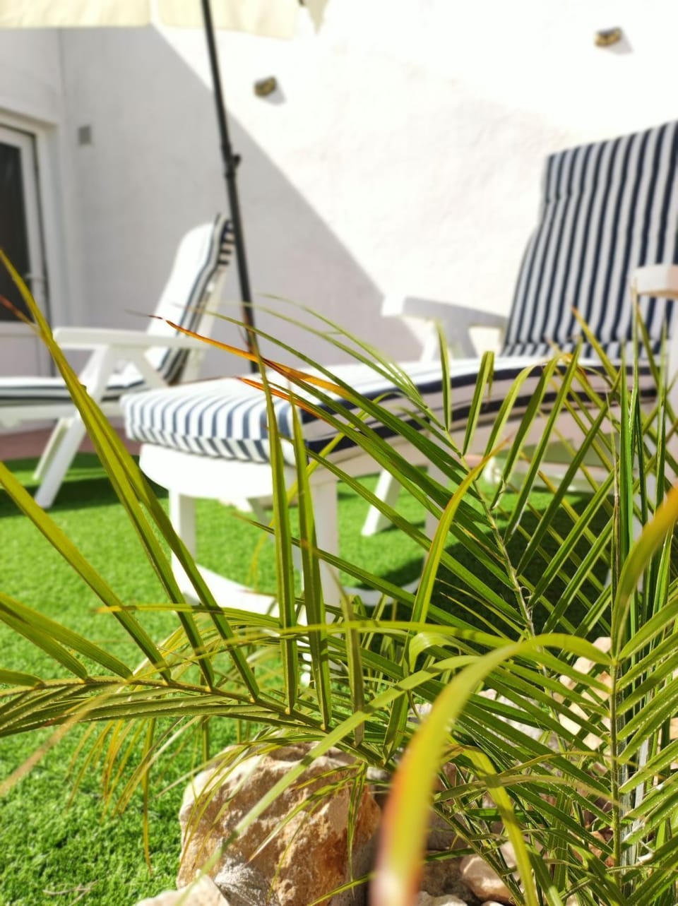 Garden, Garden, Seating area, Garden view