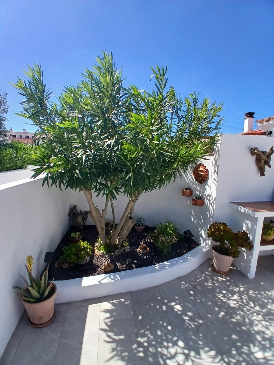 Spring, Garden, Garden view