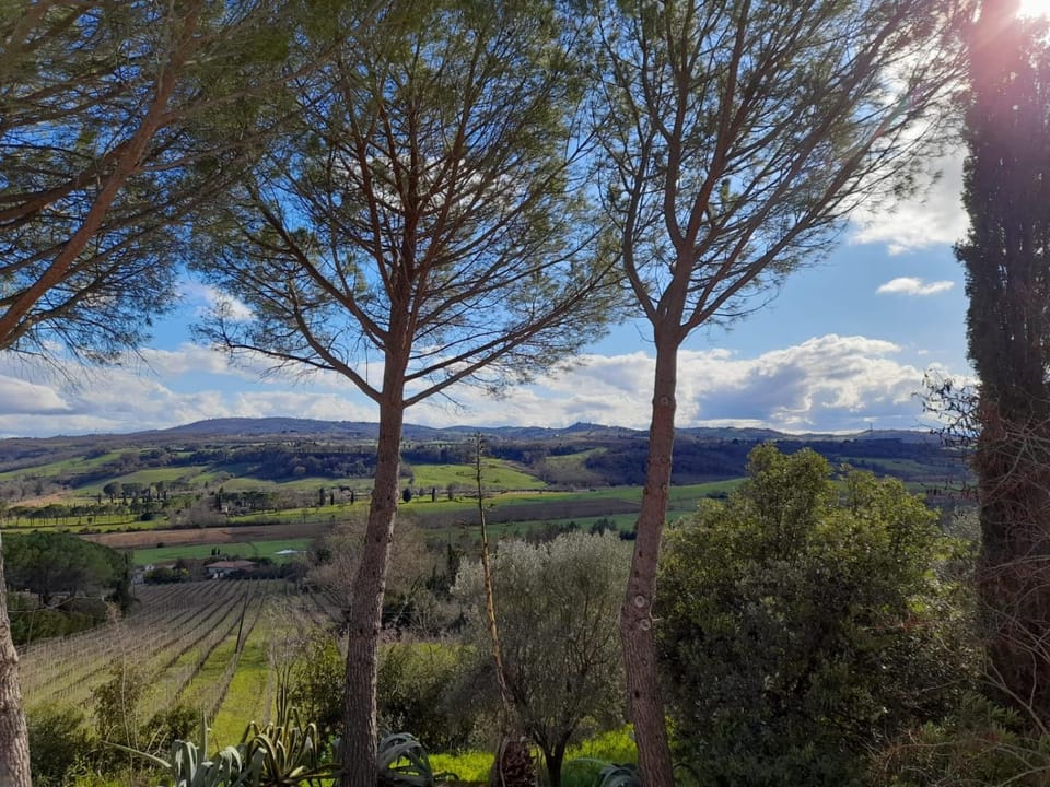 Natural landscape
