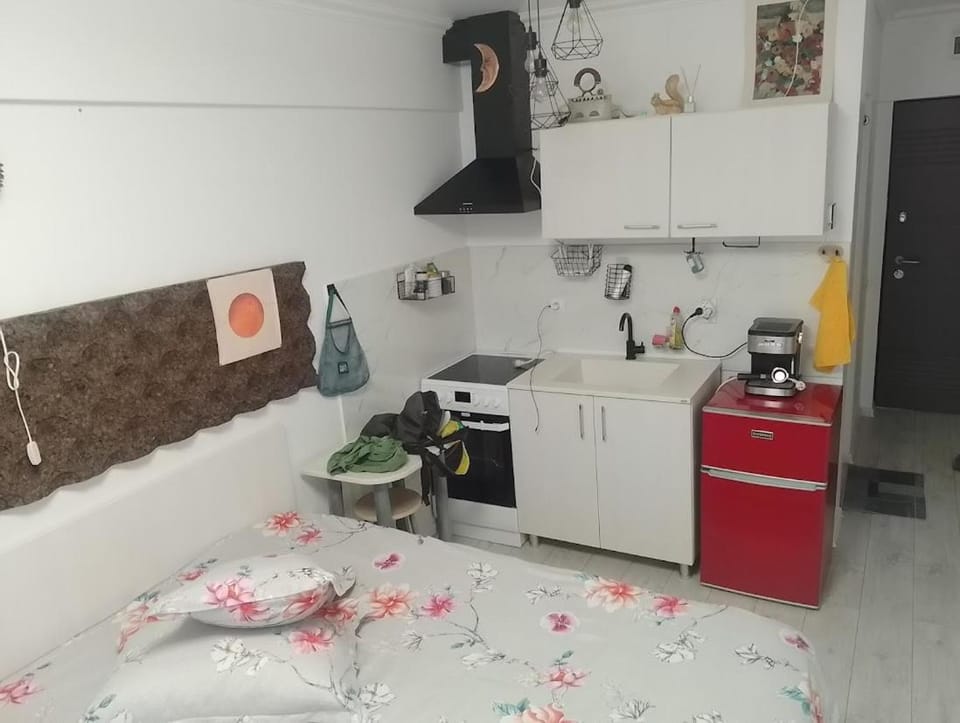 1SmallStudio, central, self check in, kitchineta, parcare Apartment in Sinaia