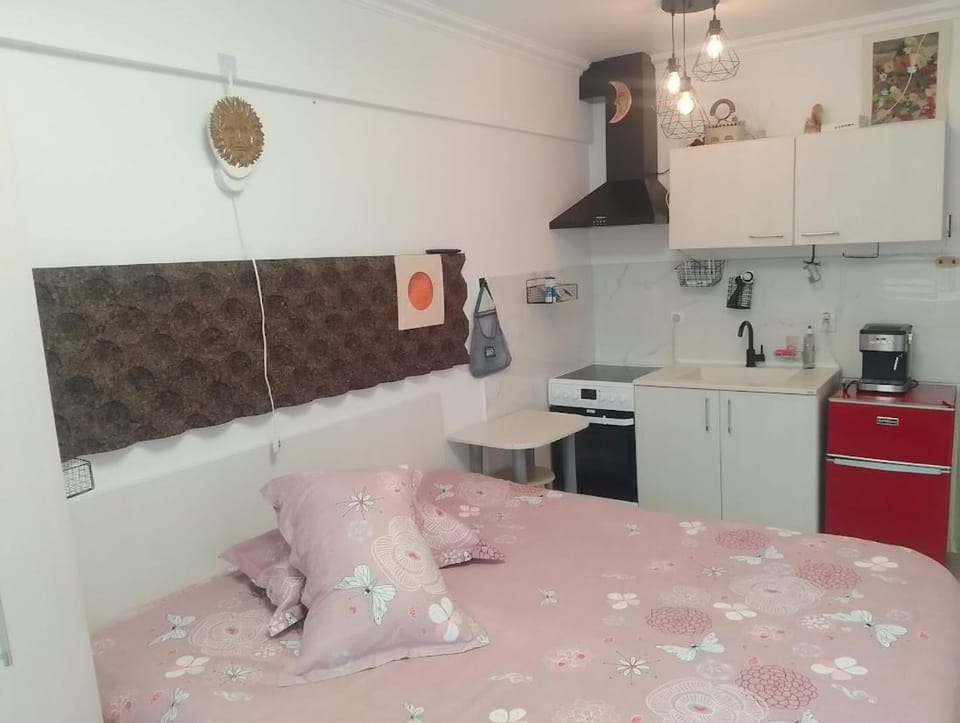 1SmallStudio, central, self check in, kitchineta, parcare Apartment in Sinaia