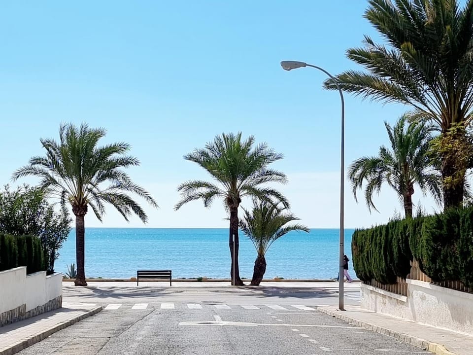 Garden, Beach, Sea view
