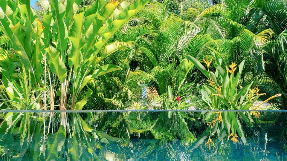 Day, Pool view, Swimming pool