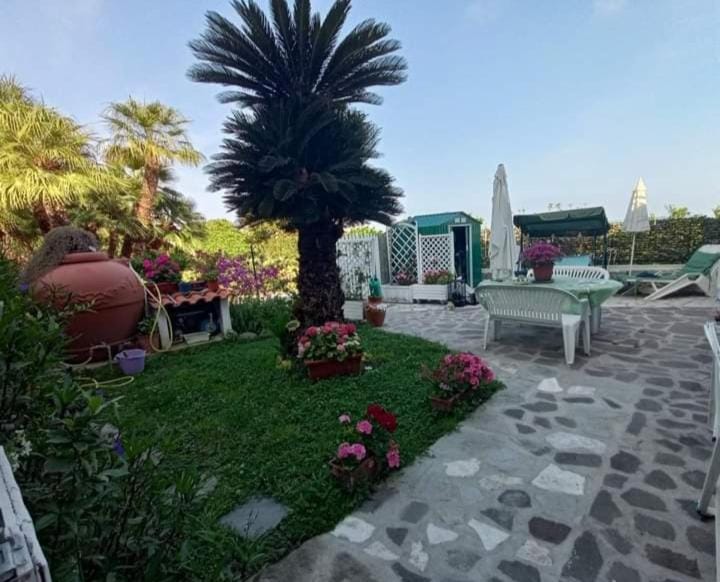 Casa Sonia Apartment in Forio
