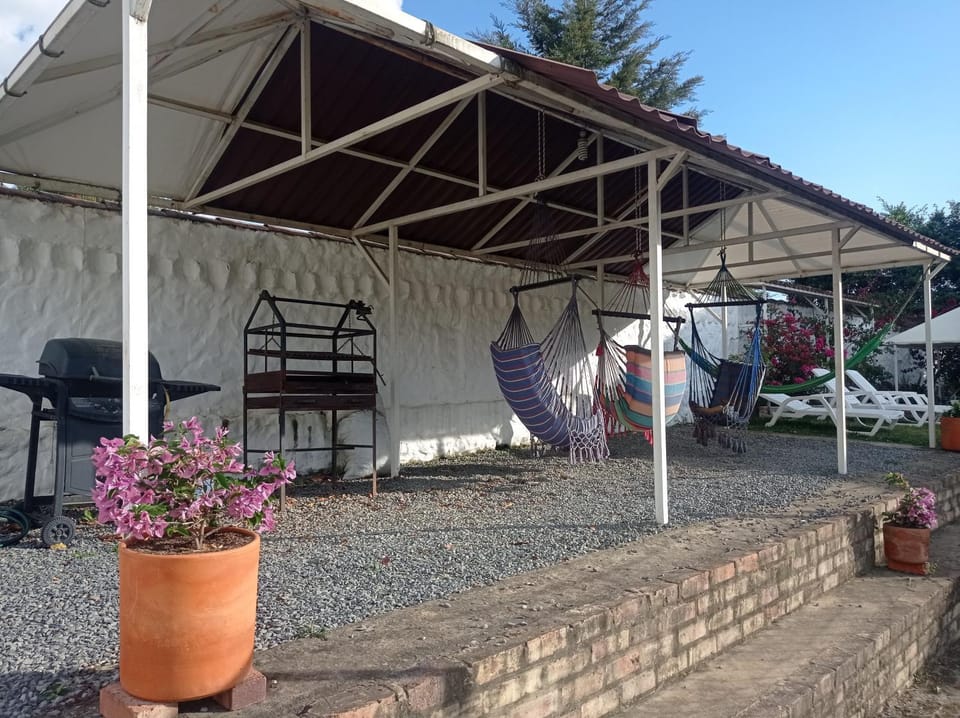 Property building, Day, Garden, Garden view