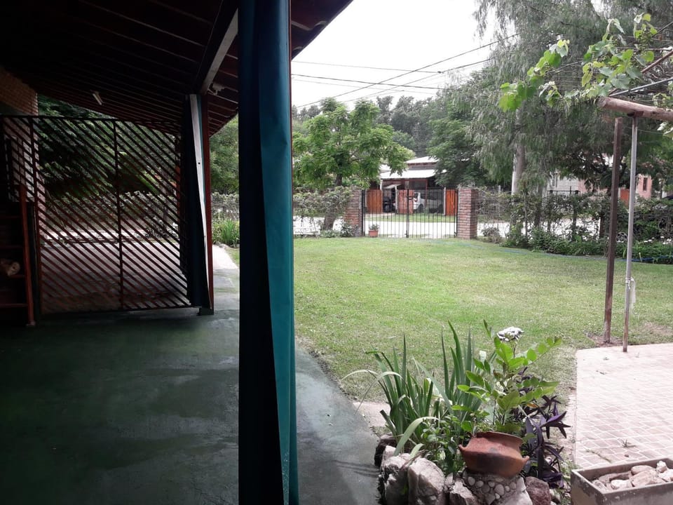 Patio, Garden, Garden view