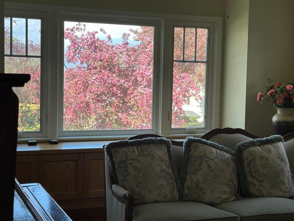 Cozy Dunbar 5 Beds Home with Views Bed and Breakfast in Vancouver