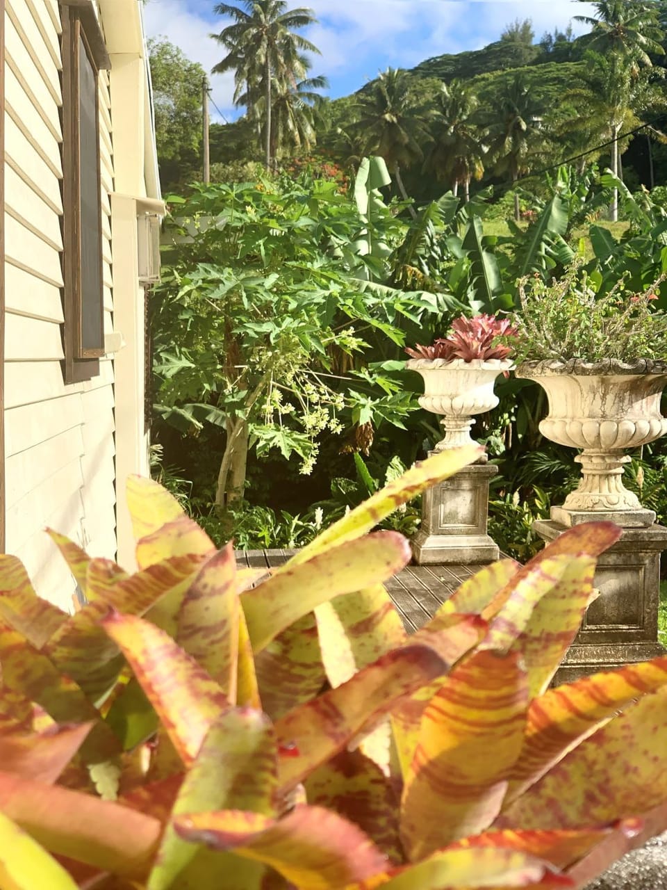 Garden view, Mountain view