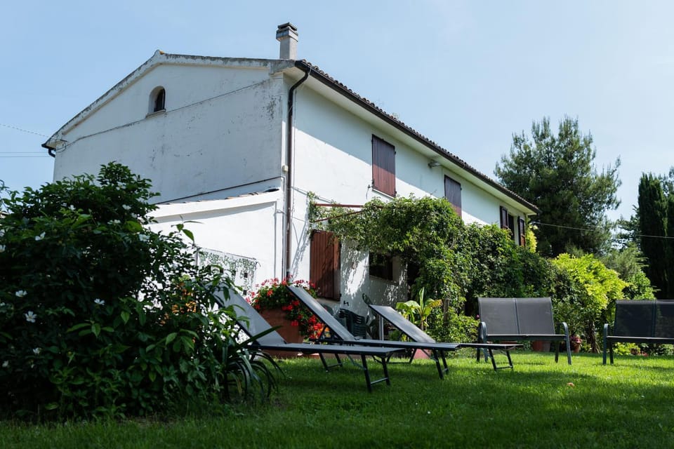 Property building, Garden, Garden view