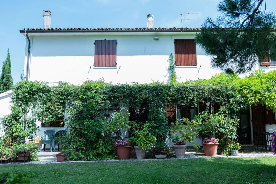 Property building, Day, Garden, Garden, Garden view