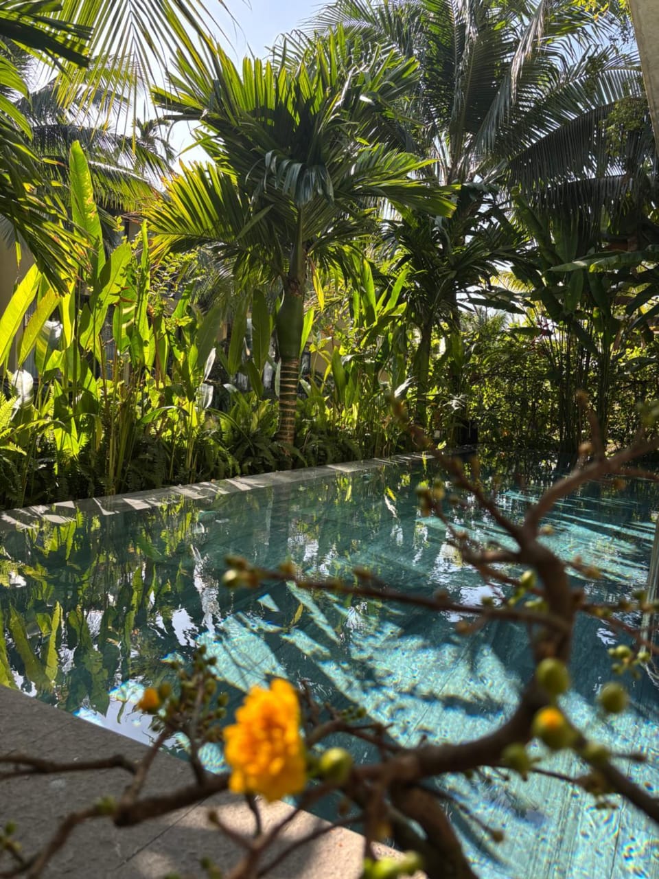 Casa Villa Hoi An - View sông lãng mạn, hồ bơi riêng Apartment in Hoi An