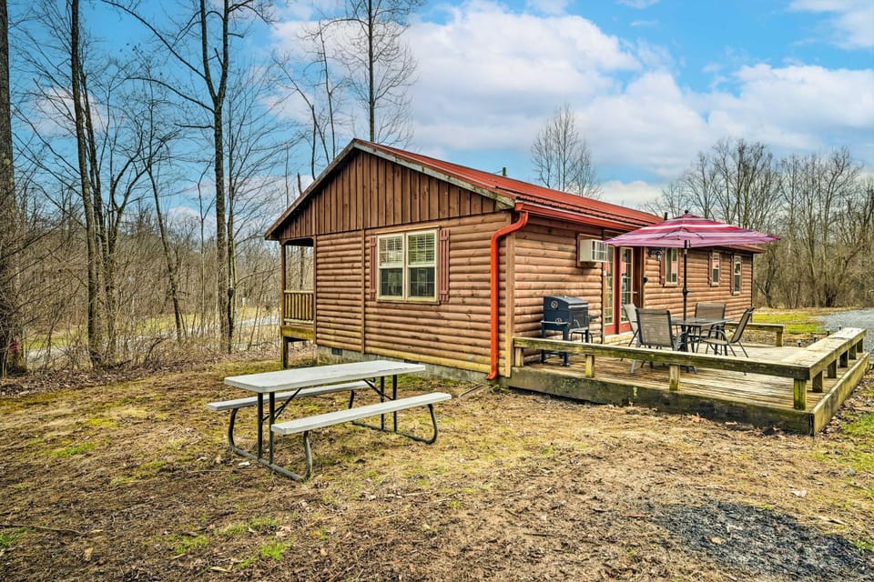 Cozy Cabin in Parsons: Hike, Fish & Explore! Cabin in Shenandoah Valley