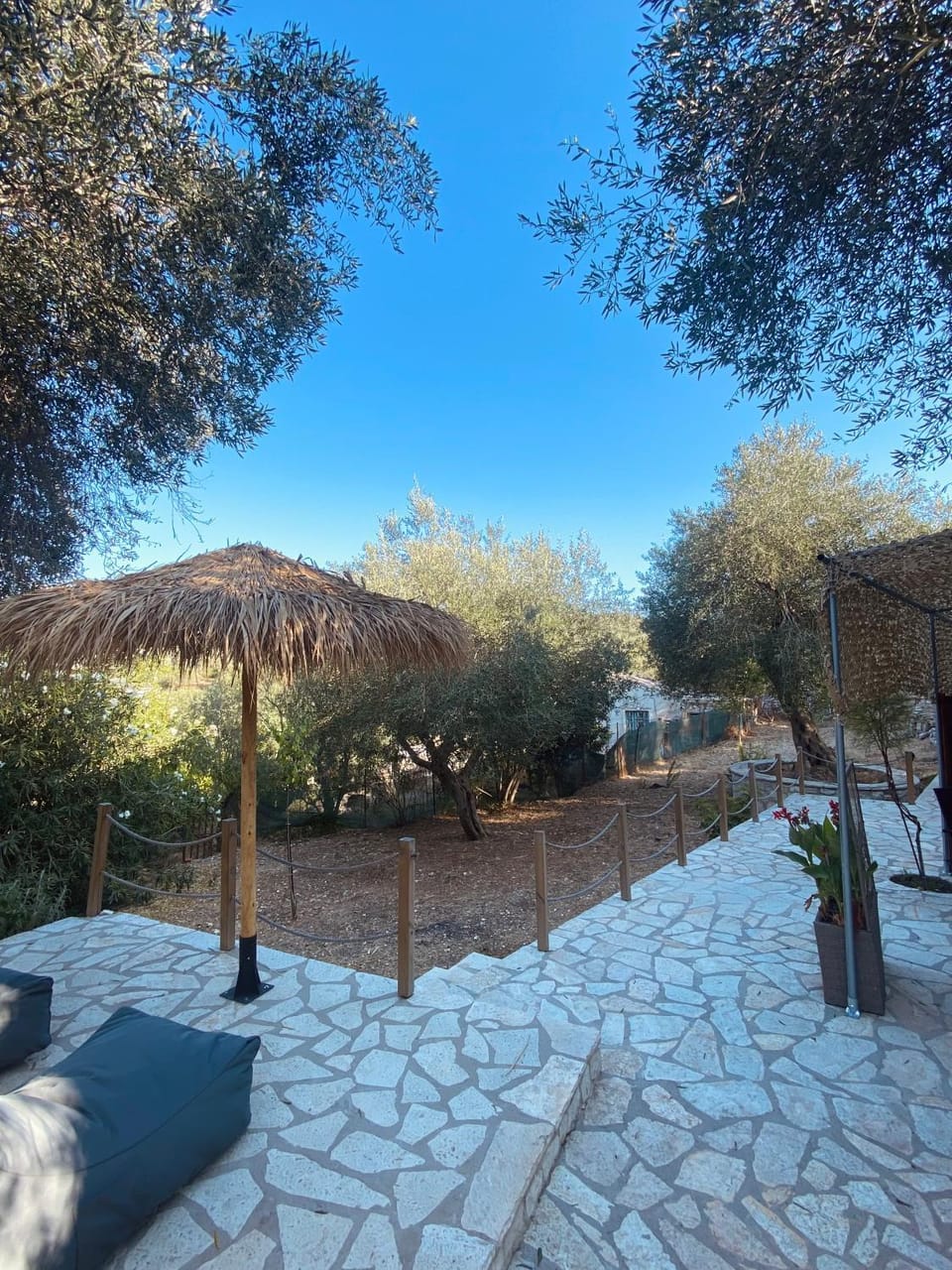 Garden view