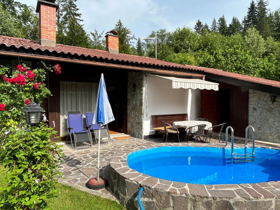 Family lake house Zbilje House in Slovenia