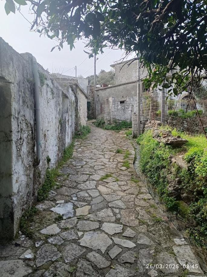 George Traditional Chalet Chalet in Crete