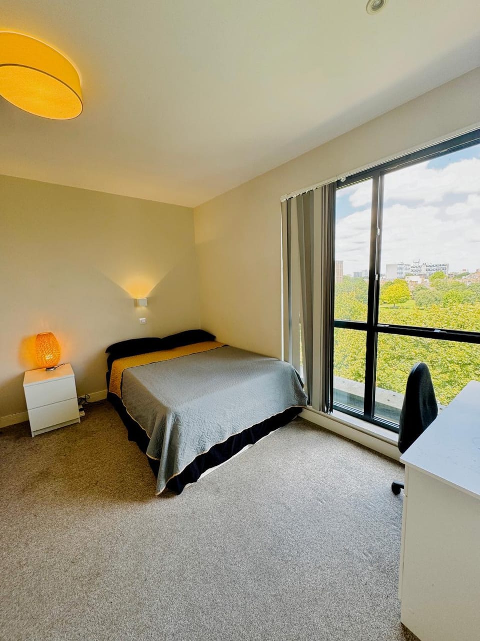 Deluxe central London Apartment in London Borough of Hackney